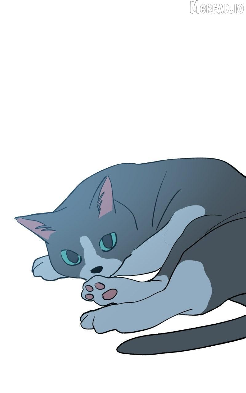 Love Letter Chapter 46 page 113 - 