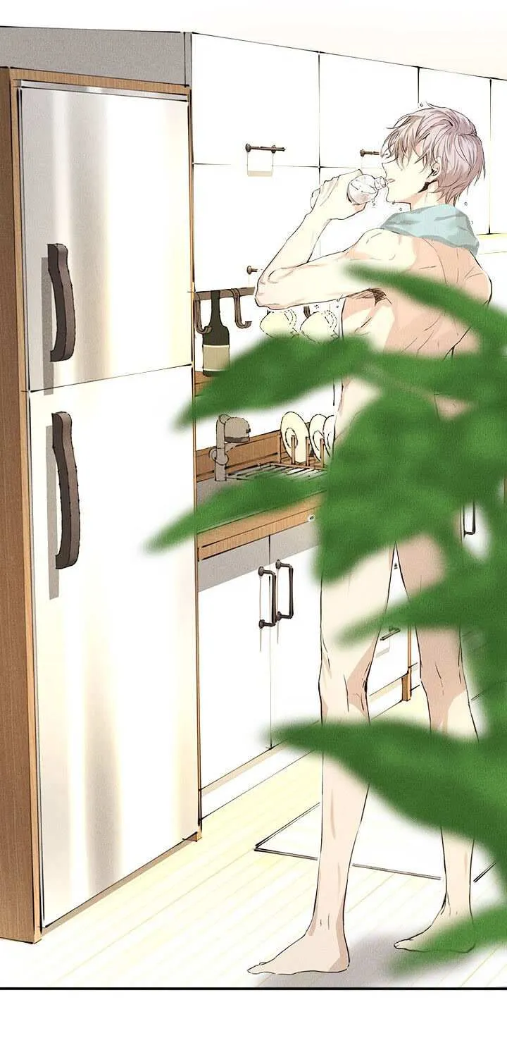 Love Live! flowers* - Hasunosora Girls