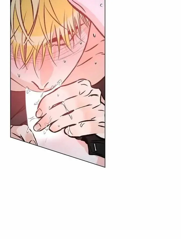 Love Order Chapter 2.1 page 49 - 