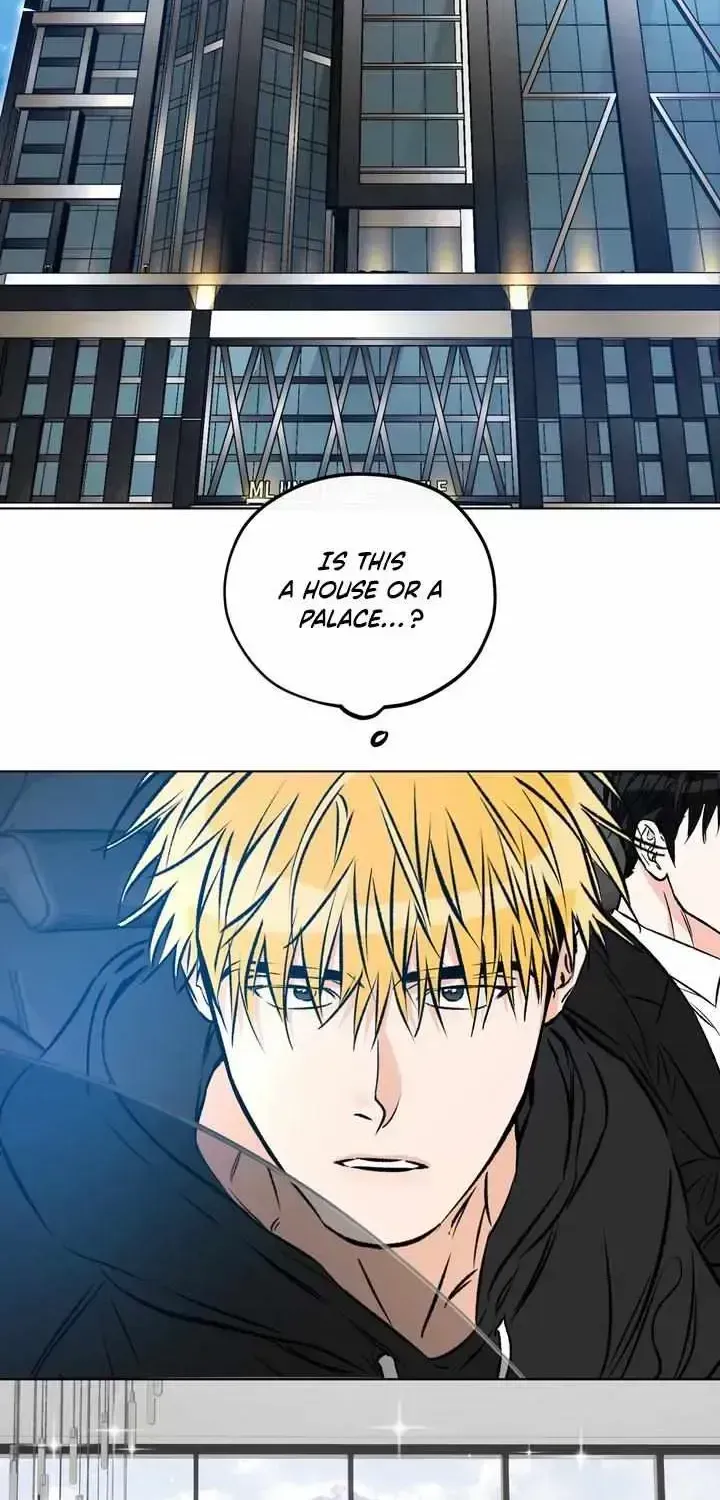 Love Order Chapter 2.2 page 3 - 