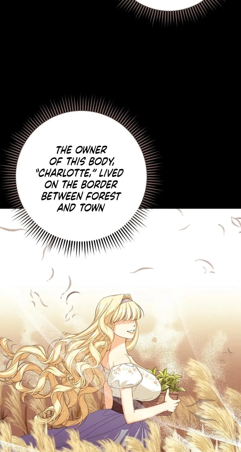 Love Potion Panic Chapter 1 page 38 - 