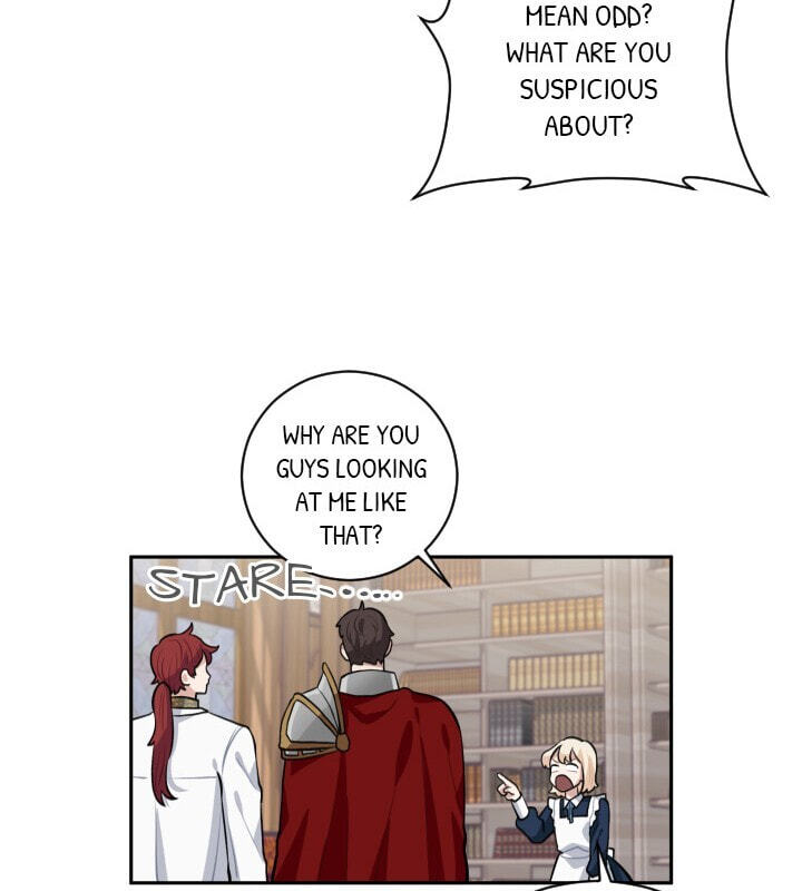 Love Quest for a Servant Girl Chapter 10 page 47 - 