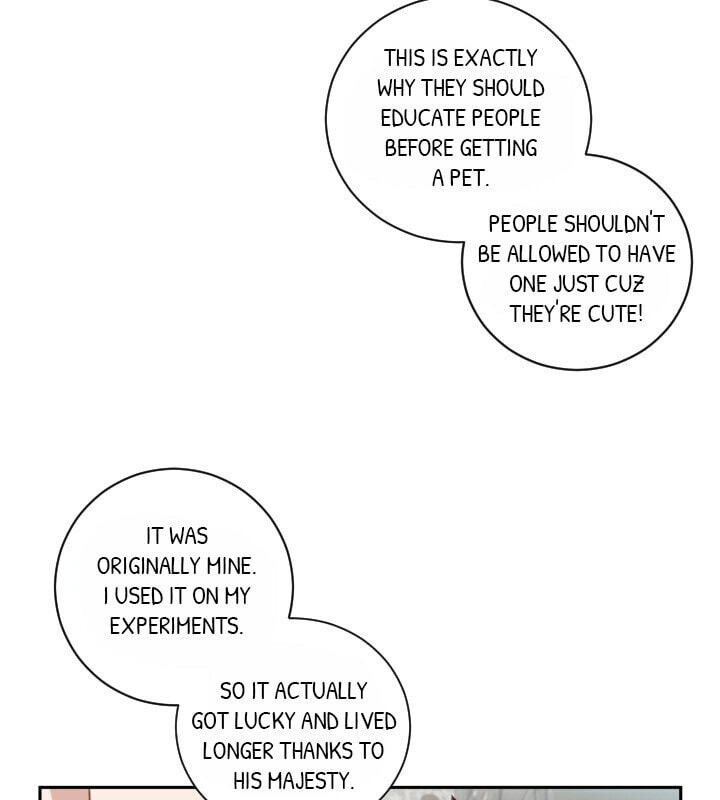 Love Quest for a Servant Girl Chapter 16 page 65 - 