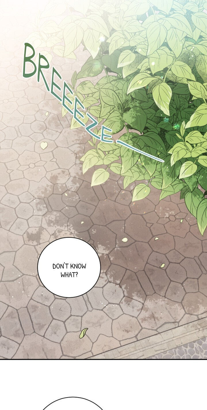 Love Quest for a Servant Girl Chapter 25 page 1 - 