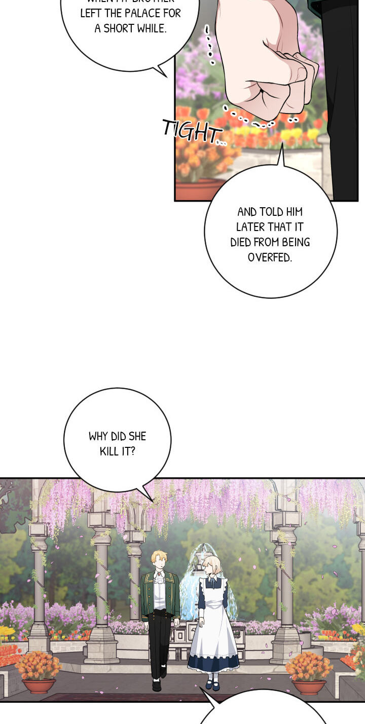 Love Quest for a Servant Girl Chapter 26 page 38 - 