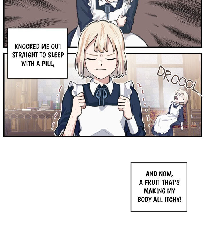 Love Quest for a Servant Girl Chapter 3 page 25 - 