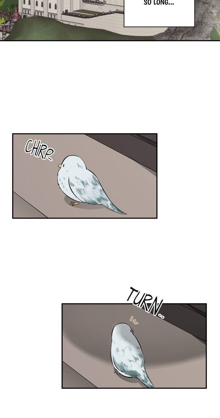 Love Quest for a Servant Girl Chapter 31 page 47 - 