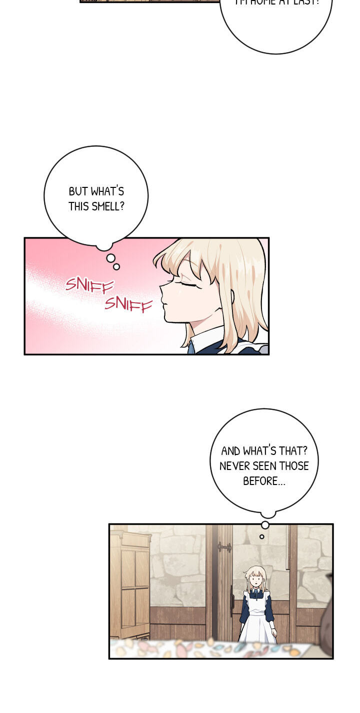 Love Quest for a Servant Girl Chapter 33 page 28 - 