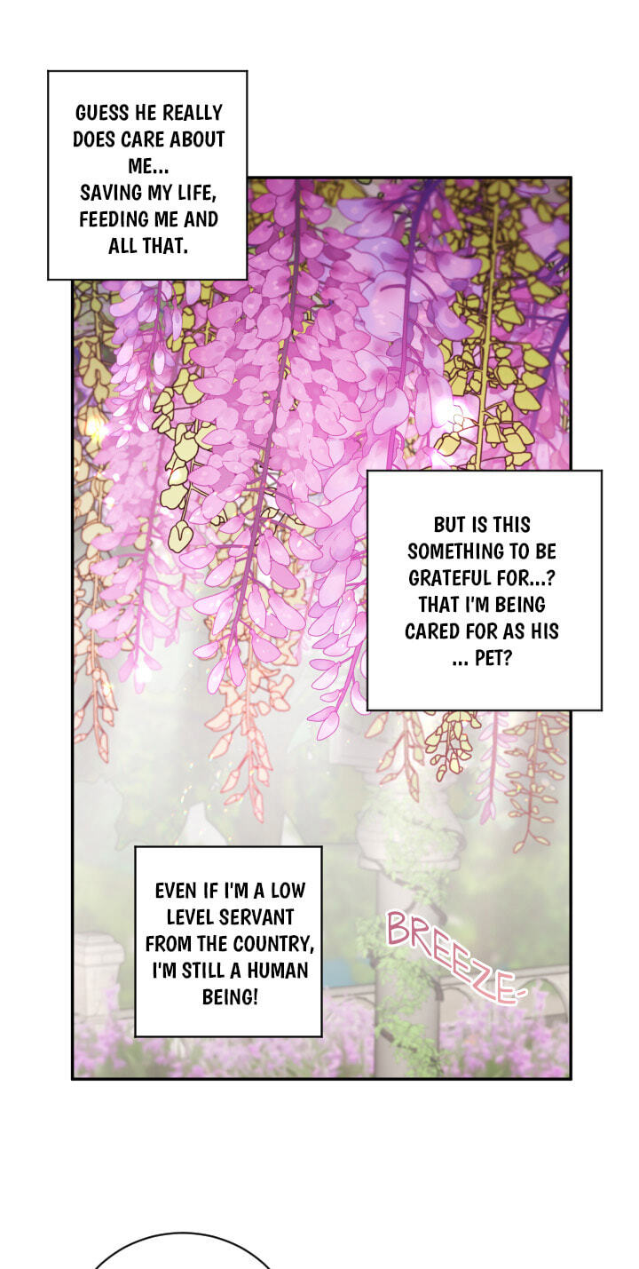 Love Quest for a Servant Girl Chapter 34 page 15 - 