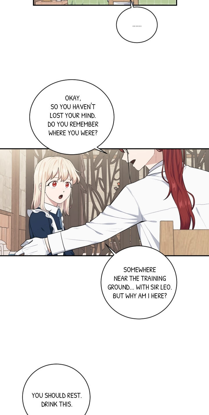 Love Quest for a Servant Girl Chapter 35 page 27 - 