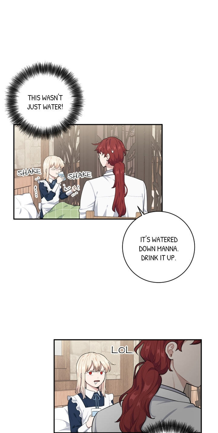 Love Quest for a Servant Girl Chapter 35 page 29 - 