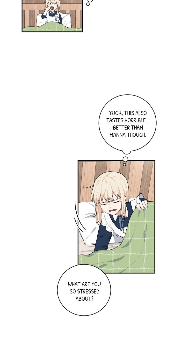 Love Quest for a Servant Girl Chapter 35 page 42 - 
