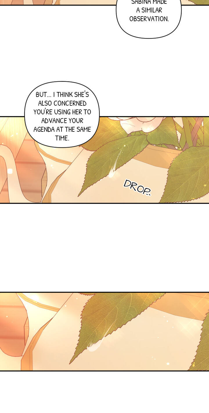 Love Quest for a Servant Girl Chapter 36 page 28 - 