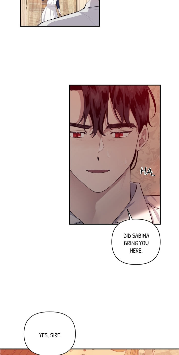 Love Quest for a Servant Girl Chapter 45 page 27 - 
