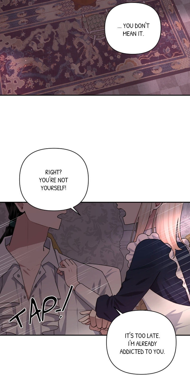 Love Quest for a Servant Girl Chapter 46 page 25 - 