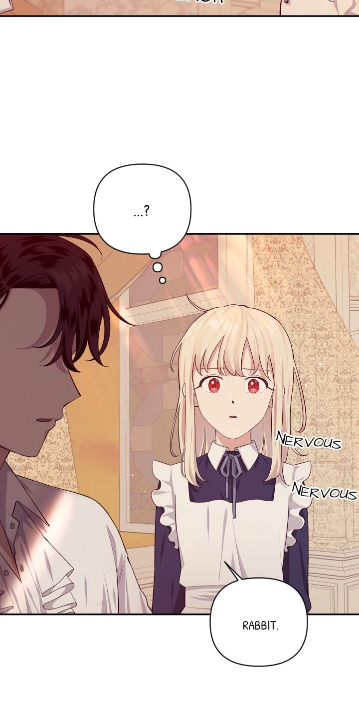 Love Quest for a Servant Girl Chapter 46 page 4 - 