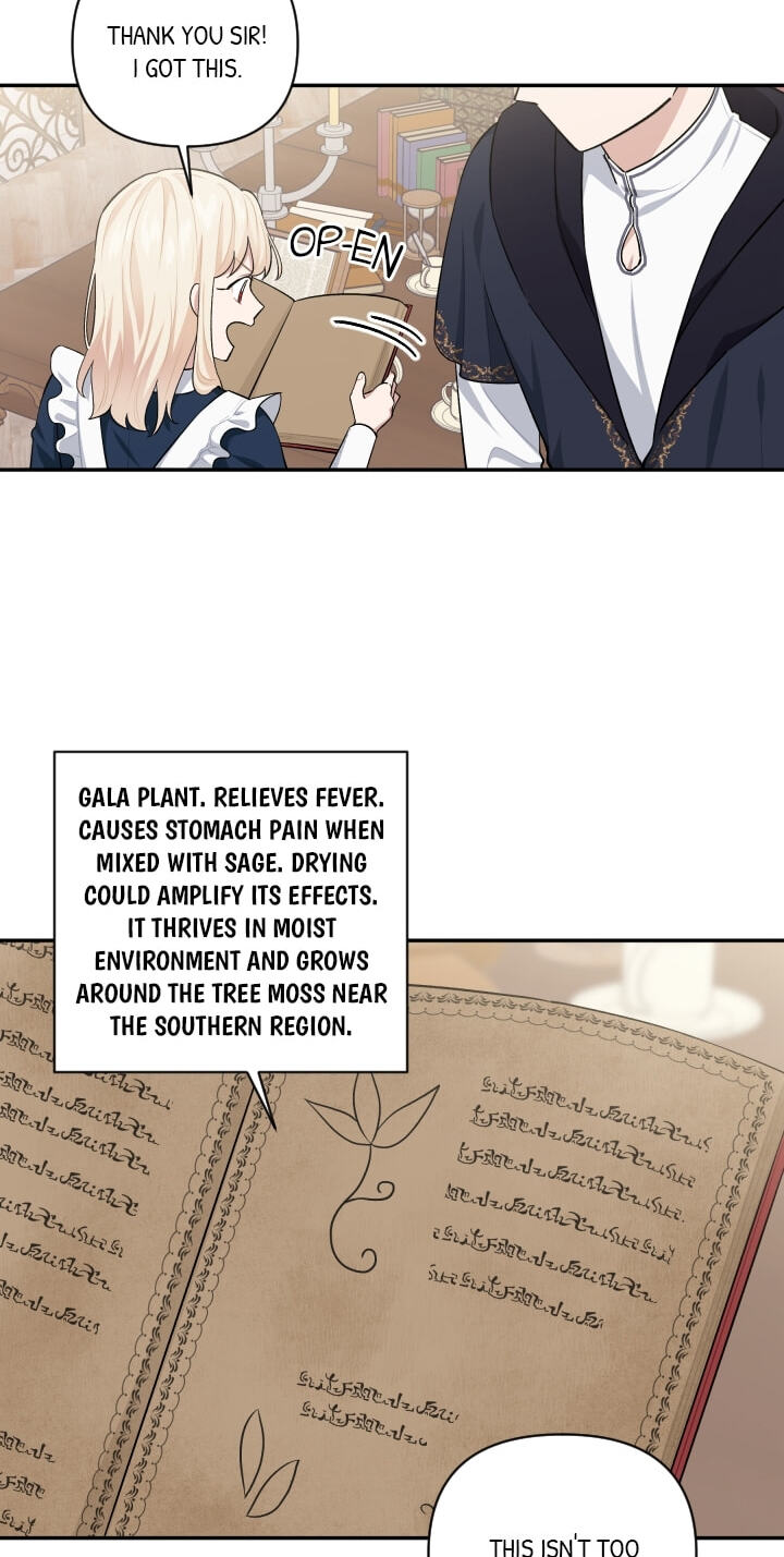 Love Quest for a Servant Girl Chapter 47 page 45 - 
