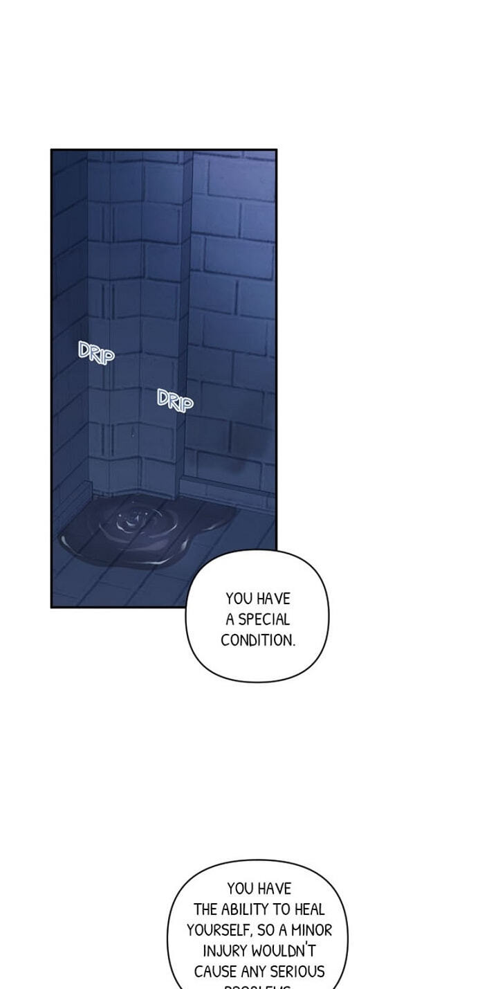 Love Quest for a Servant Girl Chapter 51 page 1 - 