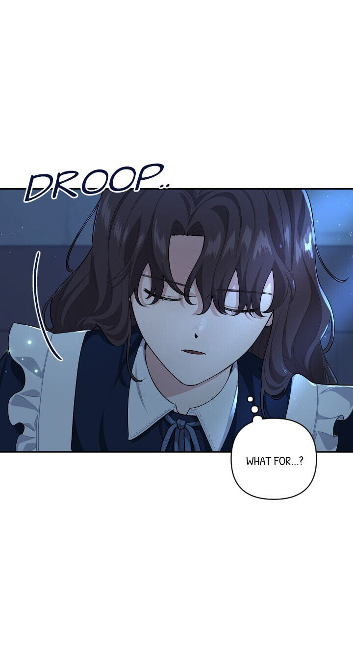 Love Quest for a Servant Girl Chapter 62 page 47 - 
