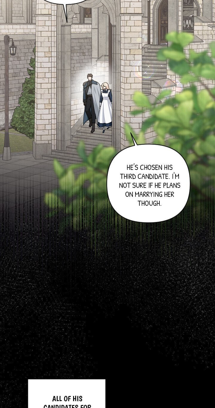 Love Quest for a Servant Girl Chapter 65 page 25 - 