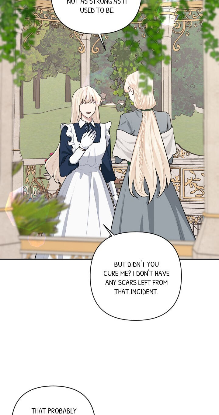 Love Quest for a Servant Girl Chapter 66 page 30 - 