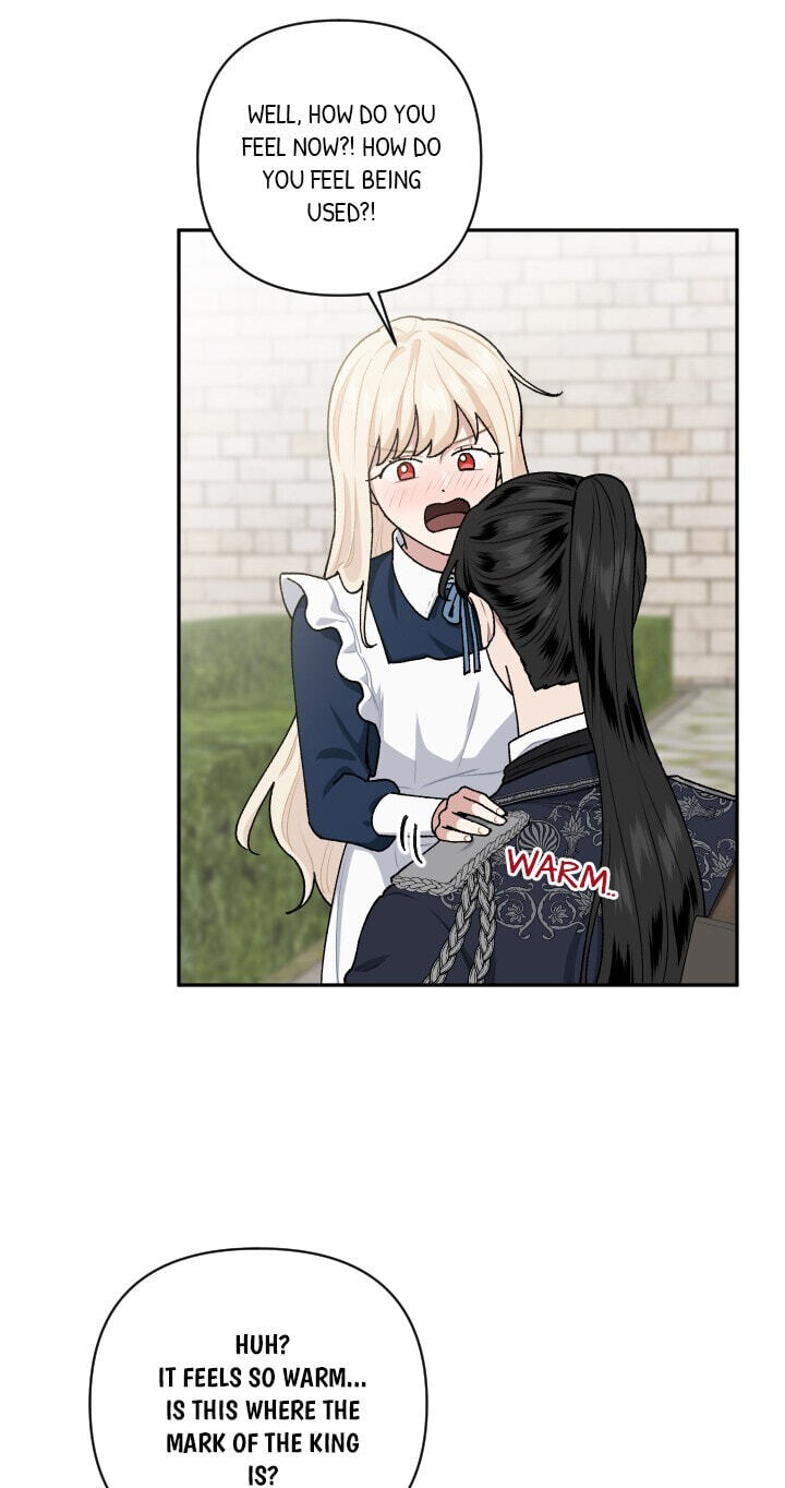 Love Quest for a Servant Girl Chapter 68 page 25 - 