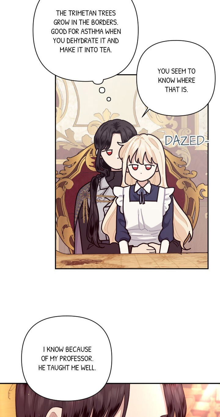 Love Quest for a Servant Girl Chapter 73 page 13 - 
