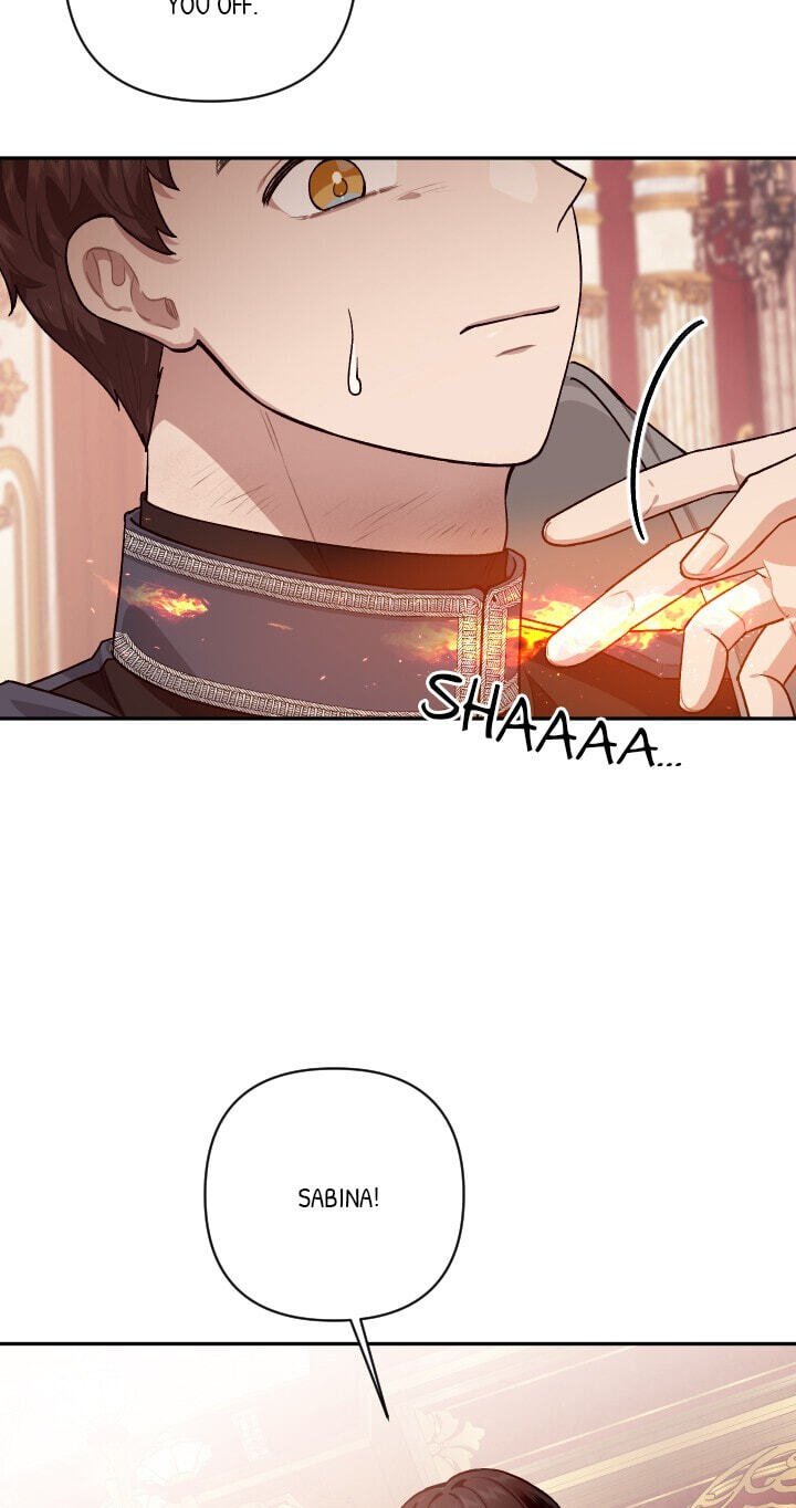 Love Quest for a Servant Girl Chapter 85 page 27 - 
