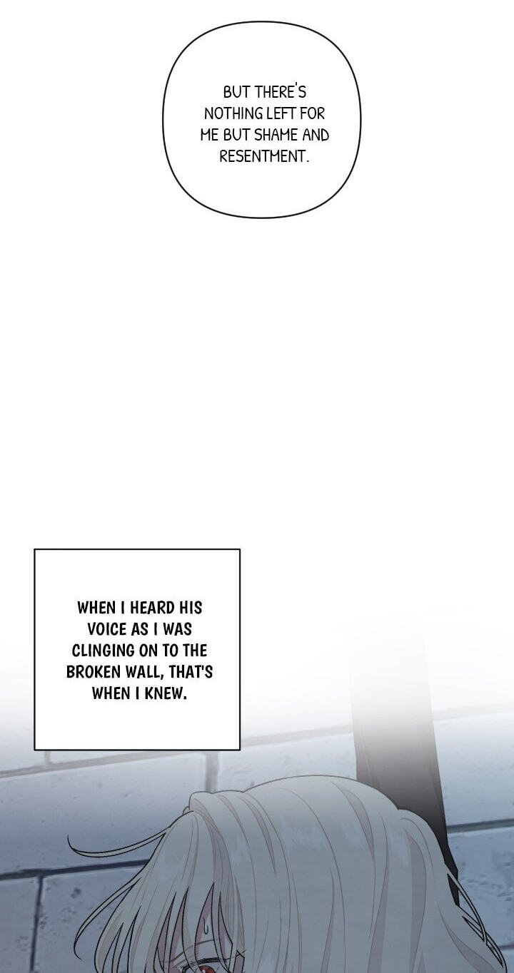 Love Quest for a Servant Girl Chapter 86 page 37 - 