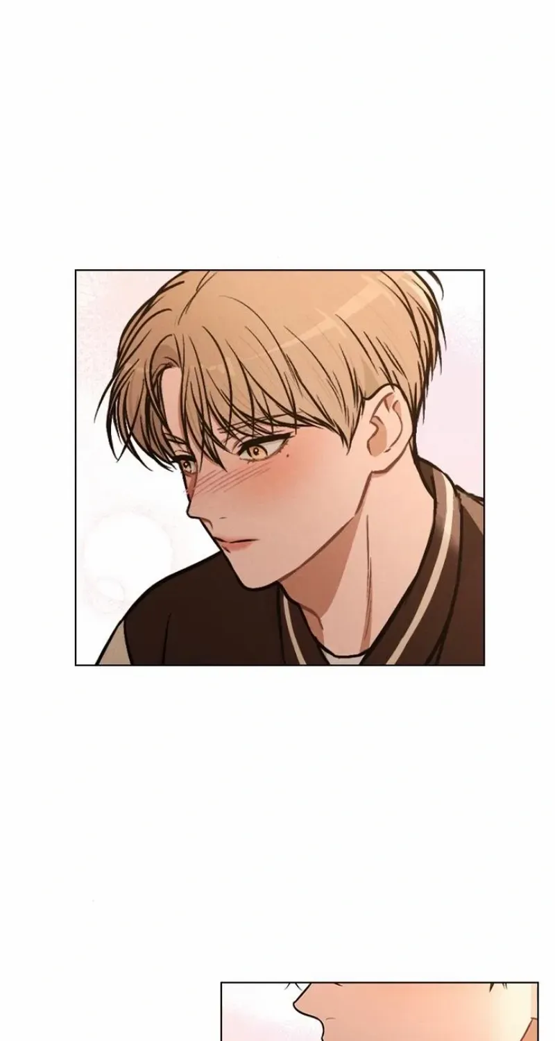 Love Review Chapter 32 page 71 - 
