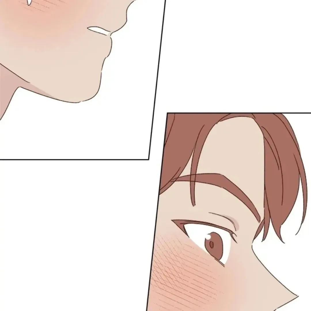 Love That Crosses the Line Chapter 38 page 162 - 
