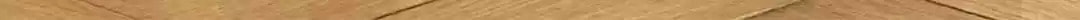 Love Trainee Chapter 94 page 16 - 