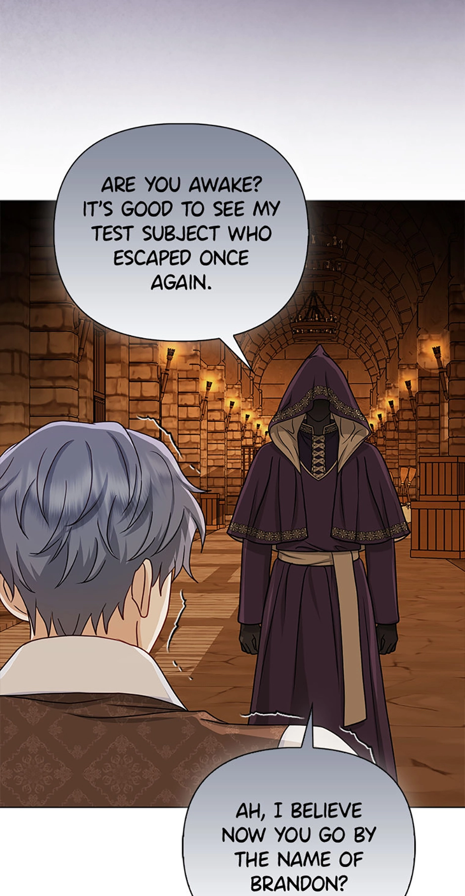 Loved by the Villains Chapter 24 page 51 - 