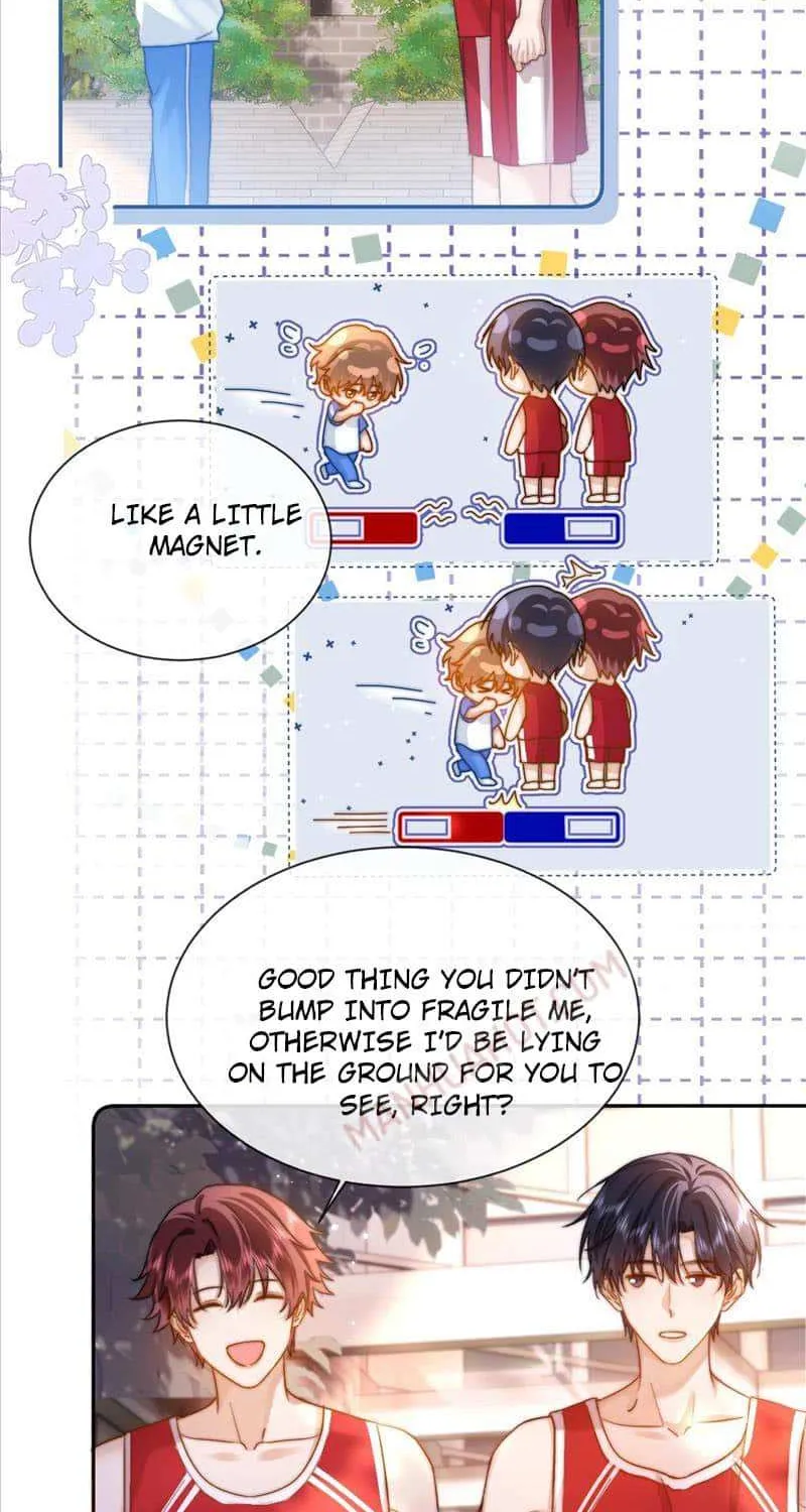 Lovely allergen Chapter 13 page 35 - 