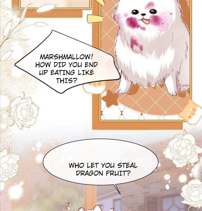 Lovely allergen Chapter 13 page 7 - 