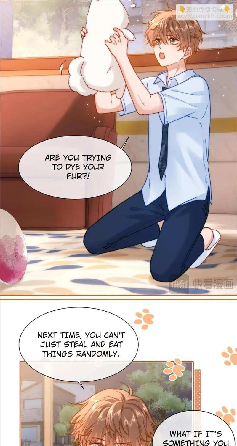 Lovely allergen Chapter 13 page 8 - 