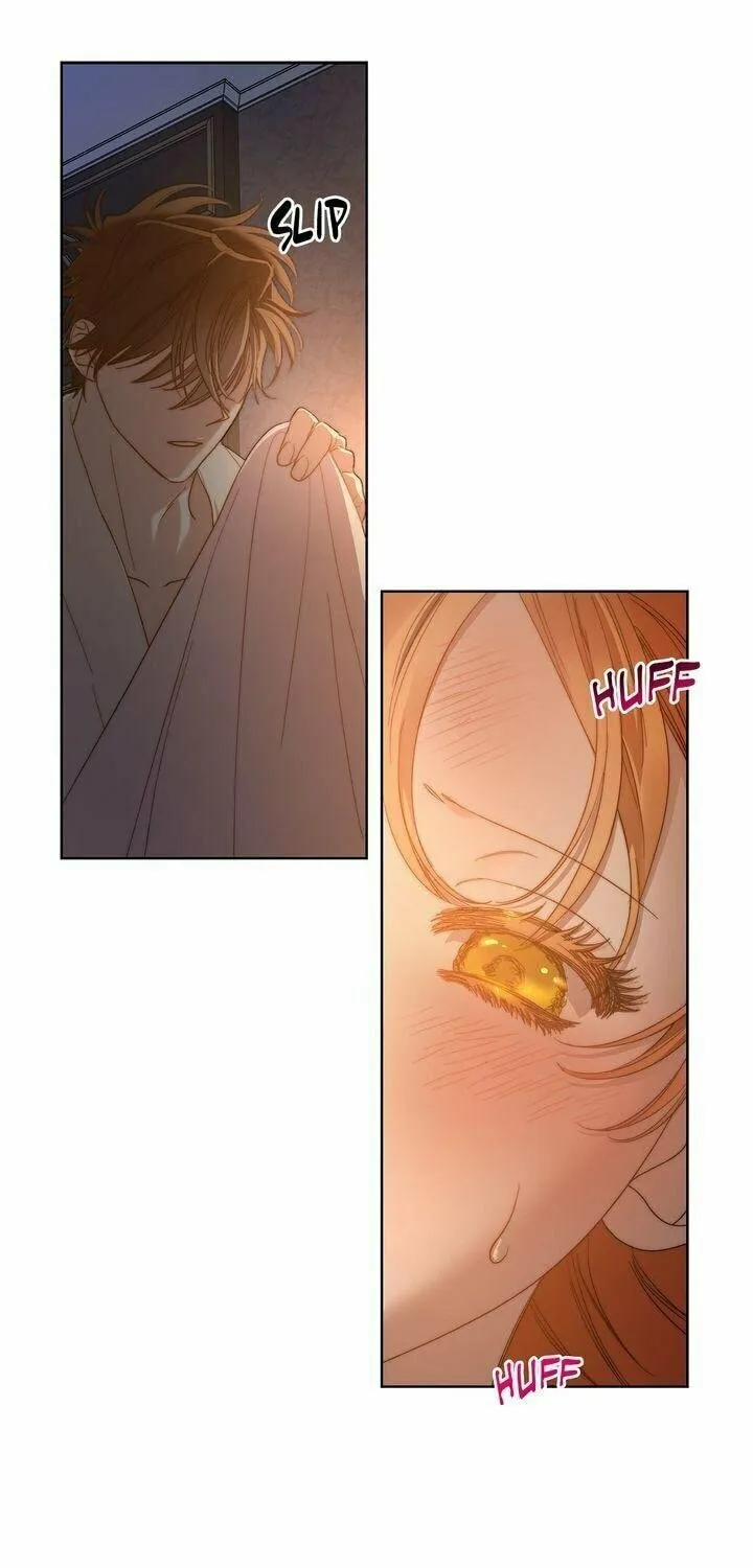 Lucia Chapter 86 page 56 - 