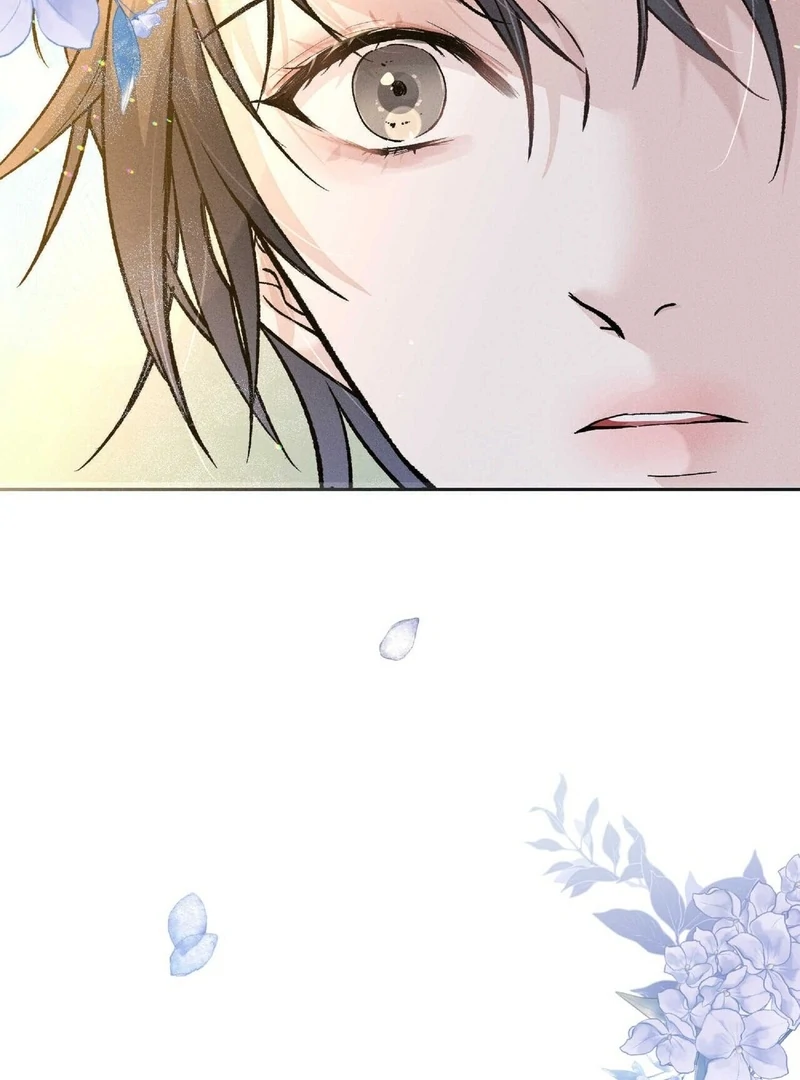 Lure Design Chapter 1 page 80 - 