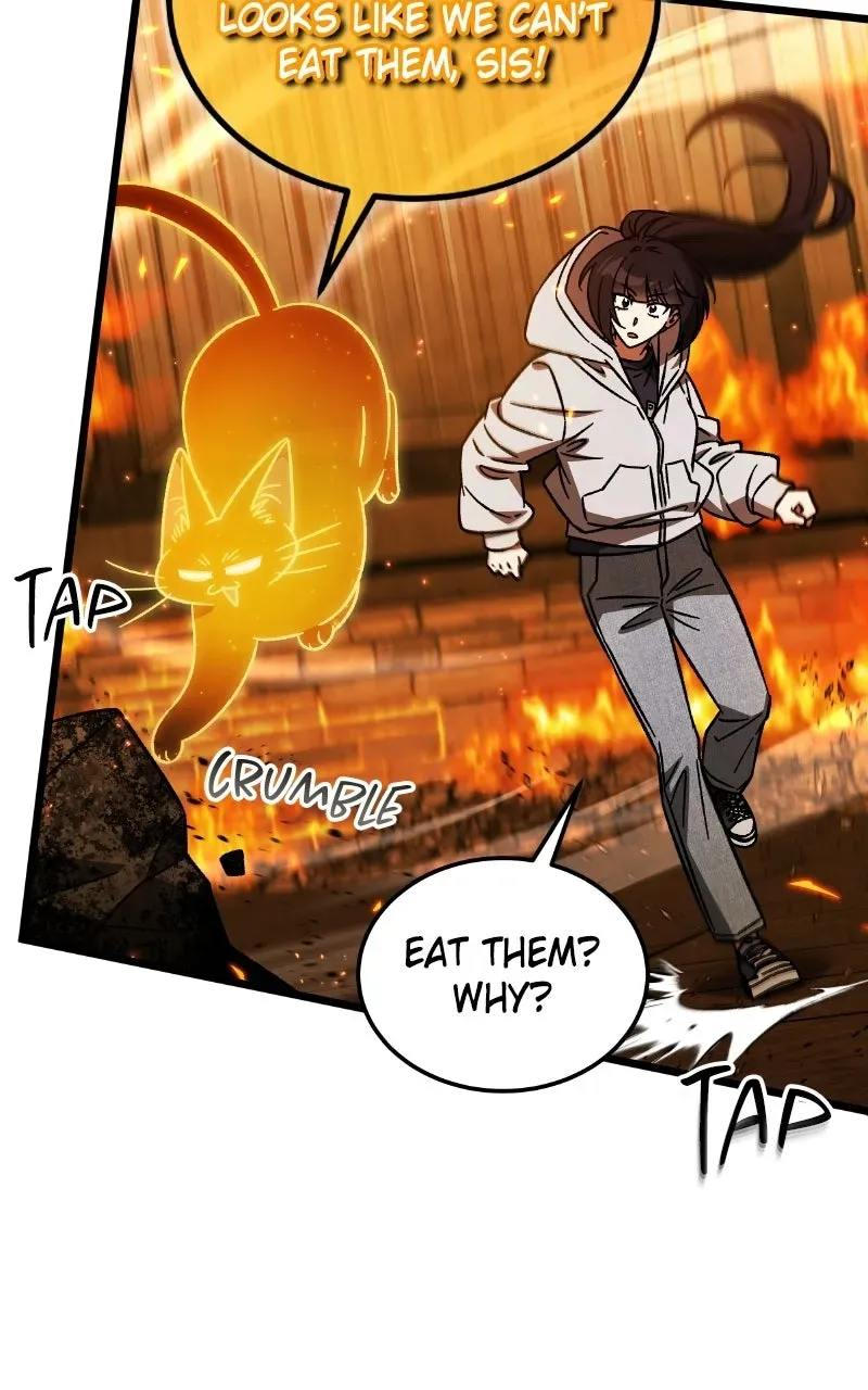Lv. 99 Princessof Black Flame Chapter 30 page 12 - 