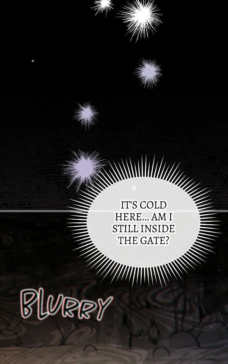 Lv. 99 Princessof Black Flame Chapter 4 page 40 - 