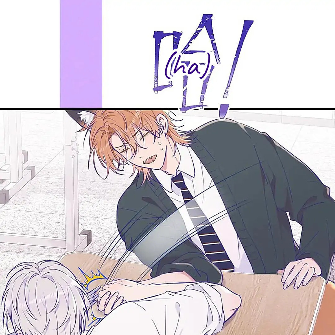 Lying Puppies Get Eaten Chapter 21.1 page 17 - 