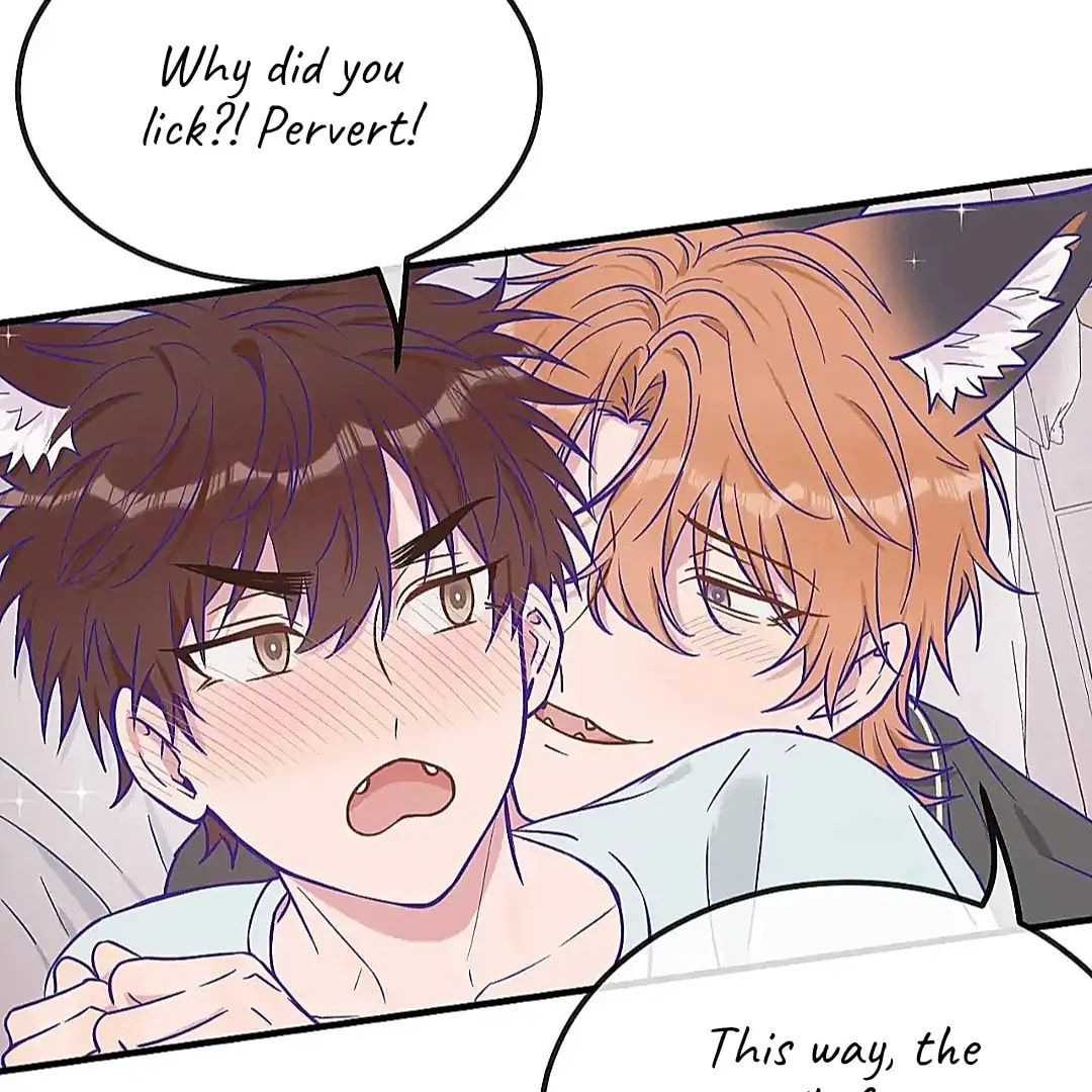 Lying Puppies Get Eaten Chapter 36 page 70 - 