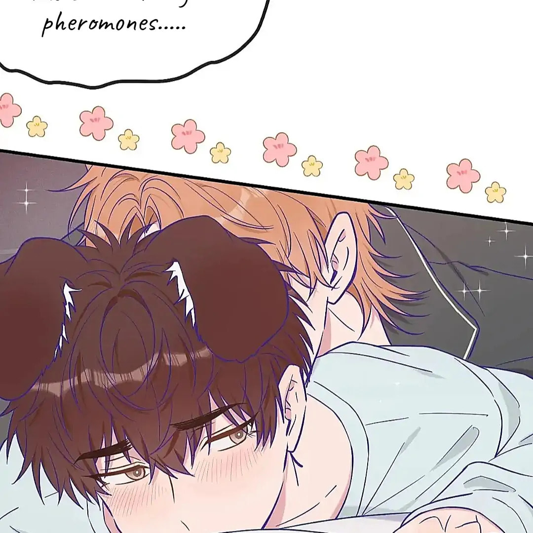 Lying Puppies Get Eaten Chapter 36 page 73 - 