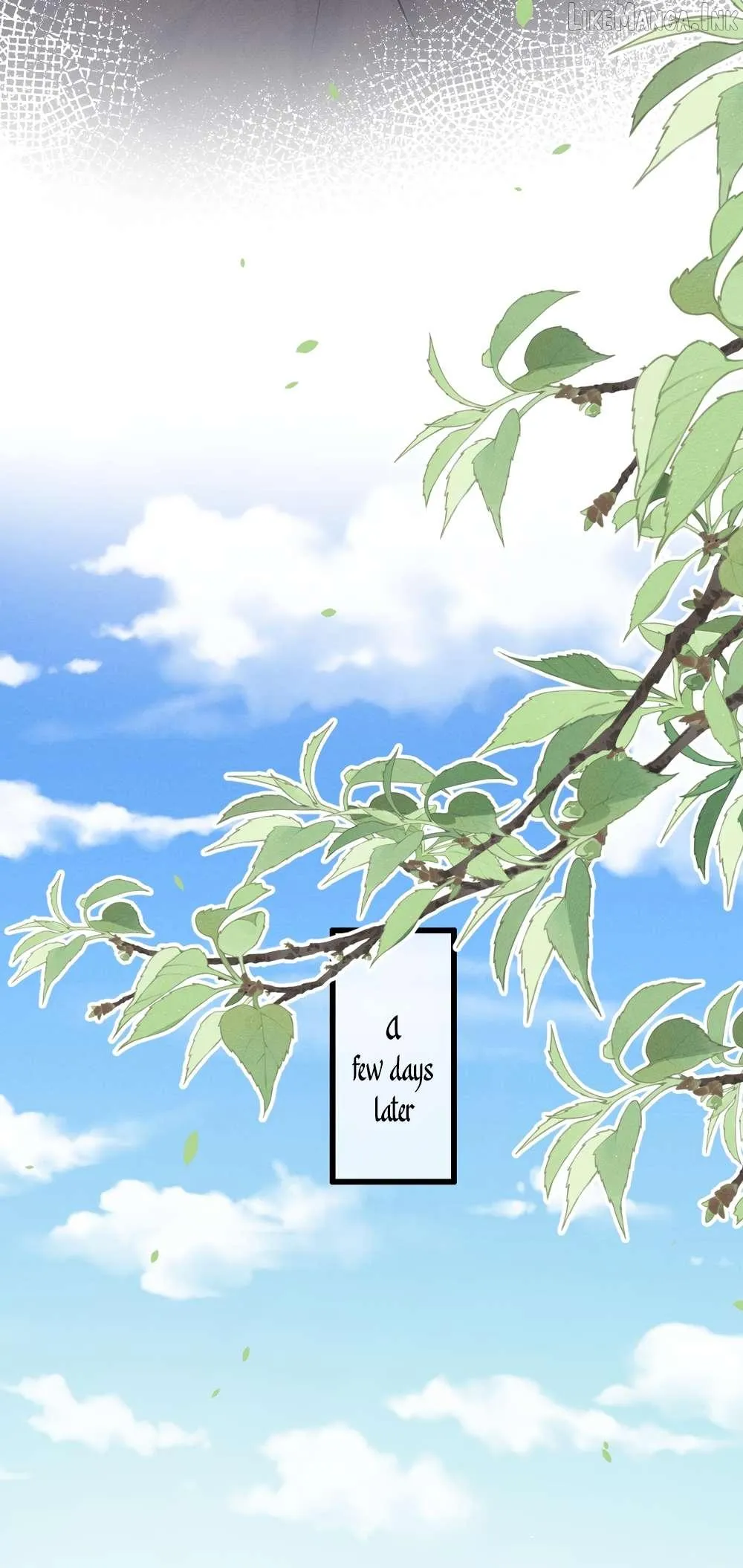Mad For Love Chapter 71 page 8 - 