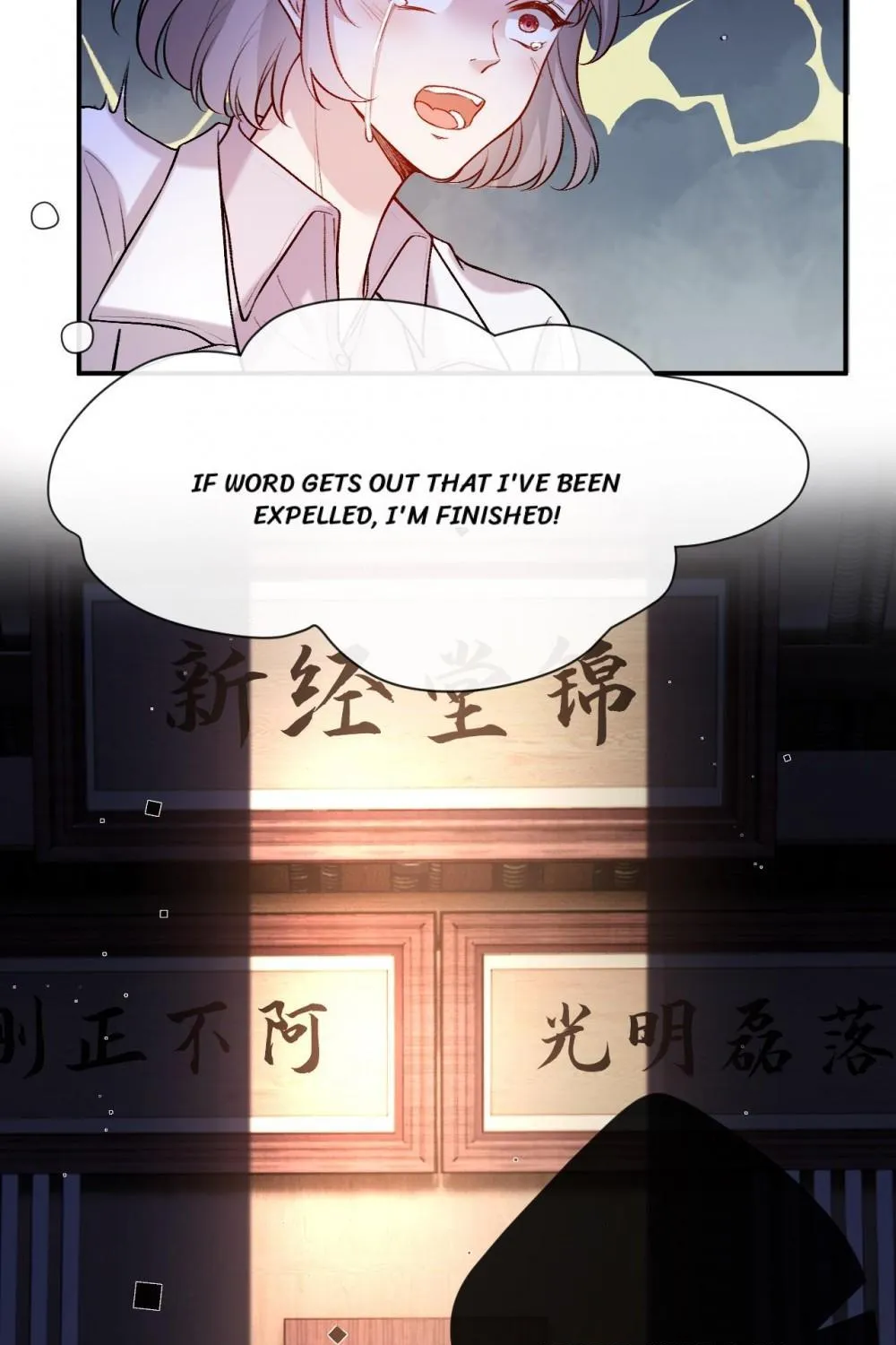 Madam and Her Daily Online Face-Slapping Chapter 20 page 16 - 