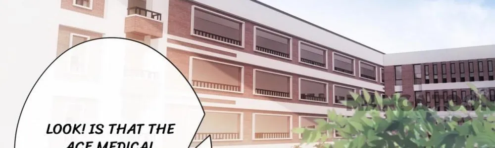 Madam and Her Daily Online Face-Slapping Chapter 48 page 54 - 