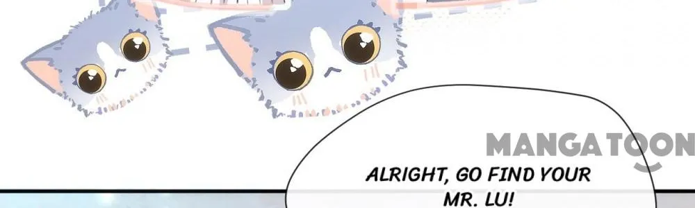 Madam and Her Daily Online Face-Slapping Chapter 50 page 28 - 