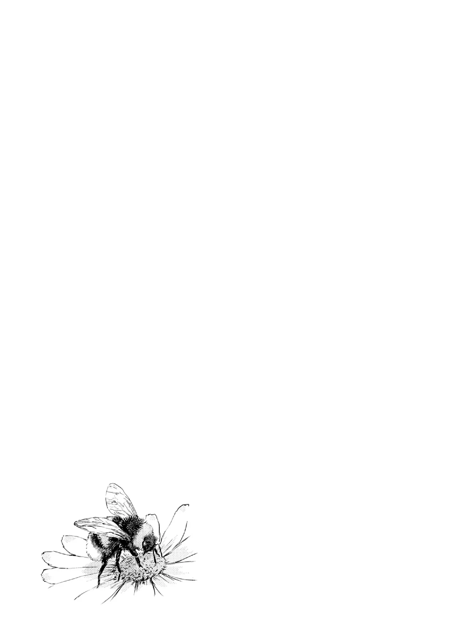 Mai no Mushigurashi Chapter 10 page 9 - 