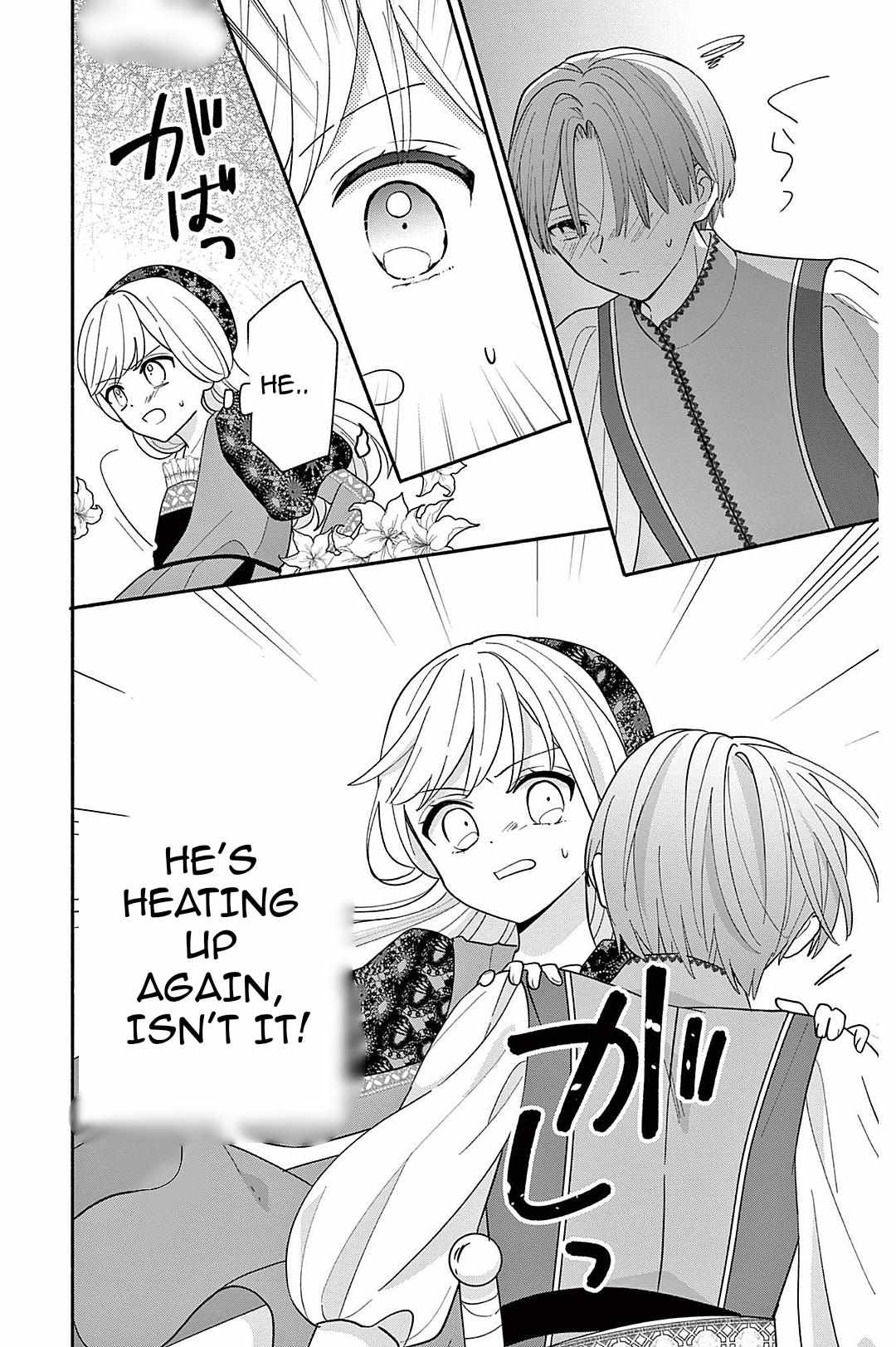 Maid wa Koisuru Hachiya-kun Chapter 22 page 27 - 