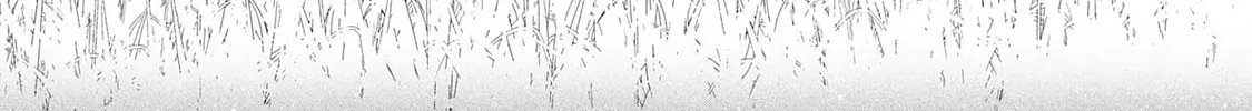 Majutsu wo Kiwamete Tabi ni Deta Tensei Elf, Moteamashita Jumyou de Ikeru Densetsu to naru Chapter 9 page 32 - 